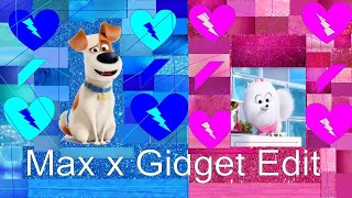 Secret Life Of Pets Request For Gidget