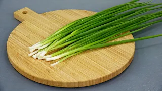 GREEN ONIONS will be in deficit if everyone learns these 5 RECIPES! GREEN ONIONS FOR WINTER TIME