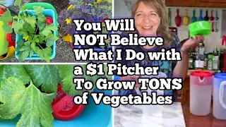 Grow TONS of Vegetables in Composting System, Compost in Place Worm Farm Container Gardening, Ground