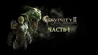 Прохождение Divinity II: Кровь драконов. Часть I