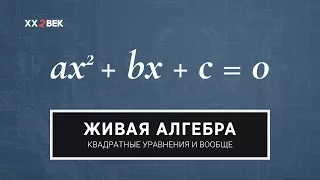 Живая алгебра: квадратные уравнения и вообще математика