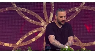 Tomorrowland Belgium 2016 | Steve Angello