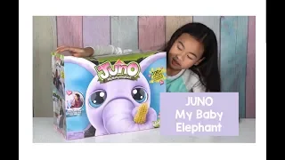 Juno My Baby Elephant Toy Review