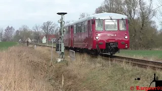 [HD] BR 172 Reichsbahn Ferkeltaxe auf Rügen im Regelbetrieb 2024