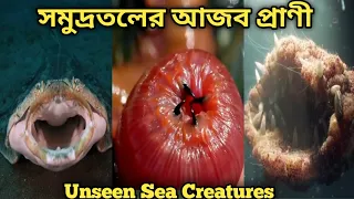 top 10 mysterious creatures that live in the deep sea - Underwater creatures Cought on camera