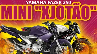 Yamaha Fazer 250 - O mini "XJoTão" [XJ6]