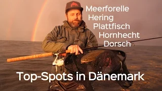 Angeln in Dänemark: Top-Spots für Meerforelle, Hering, Plattfisch & Co. Unterwegs in Nordseeland