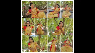 #navarasa Navarasam | Nine Moods & Expressions | Saranya Murugappan #bharathanatyam #indiantradition