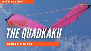 The QuadKaku - Flying a Rokkaku on Four Lines, Is It Even Possible?