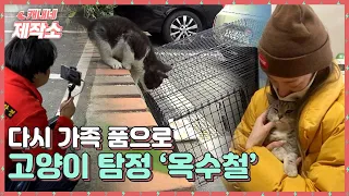 잃어버린 고양이를 찾아드립니다 고양이 탐정 '옥수철'