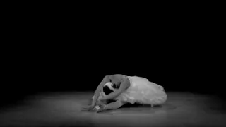 ROM - Dying Swan