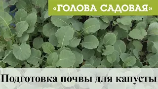 Голова садовая - Подготовка почвы для капусты