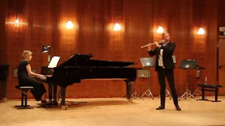 J. Sibelius - Violin Concerto, I. Allegro moderato (arr. for flute)