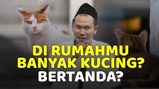 gus baha banyak kucing di rumah | terjemah indonesia (21)