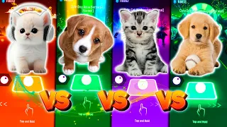 CUTE CAT BTS FAKE LOVE VS CUTE DOG AQUA BARBIE GIRL VS CUTE CAT WEDNESDAY & CUTE DOG MAROON 5 SUGAR