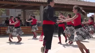 Colles 2015. Joves a Polinyà