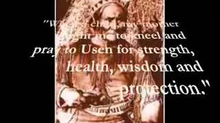 Geronimo  The Last Free Apache