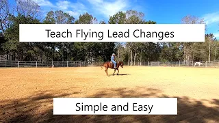 Flying lead changes made simple and easy.