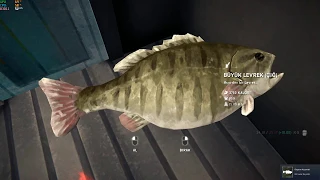 THE LONG DARK Episode-3 Giant Fish and Sasquatch - Devasa Balık ve Koca Ayak Walk. No Com. Part-11