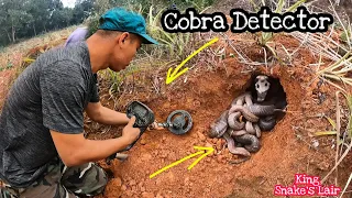 Use The Detector To Detect The Heart Rate Of The King Cobra Underground | Fishing TV