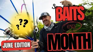 TOP BAITS of the MONTH | June 2024 Edition