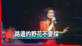 1981君在前哨-鄧麗君-路邊的野花不要採 Teresa Teng テレサ・テン