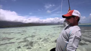 Hawaii On The Fly