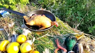 УТКА В ЯБЛОКАХ. ОХОТА НА КУБАНИ НА УТКУ. РЕЦЕПТ ПРИГОТОВЛЕНИЯ УТКИ В ЛЕСУ. СЮФ КРАСНОДАРСКИЙ