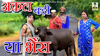 अकल बड़ी या भेस I Comedy 2020 I Akal Badi Ya Bhes I New Comedy 2020  II Primus Hindi video