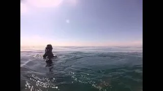 Freedive spearfishing Santa Barbara Coast