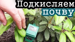 ПОДКИСЛЯЕМ почву ЛИМОННОЙ КИСЛОТОЙ / На примере рододендрона