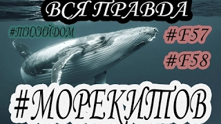 ПРОИГРАЛ В ИГРЕ МОРЕ КИТОВ, СИНИЙ КИТ, РАЗБУДИ МЕНЯ В 4:20 ! F57