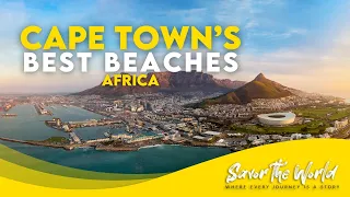 Cape Town Beaches South Africa: A Travel Guide to the Best Beaches in the City