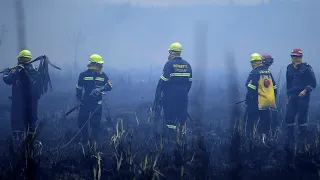 Incendios forestales de Paysandú y Río Negro: Bomberos confirmó intencionalidad en varios focos