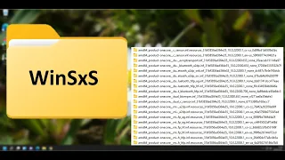 Co dělá složka WinSxS?