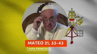 🙏 PAPA FRANCISCO - Reflexion del EVANGELIO MATEO 21, 33-43 |▷ 8 de OCTUBRE de 2023