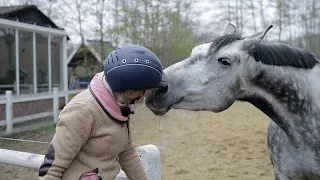 Kann traumatisiertes Pferd auch von seiner Besitzerin wieder geritten werden?