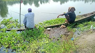 Fishing with a spear in the canals of Bangladesh।।amazing village fishing।। village life