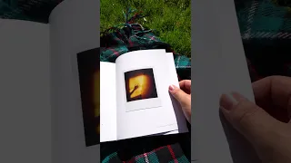 The Polaroid Now Book
