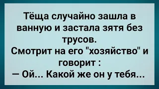 Теща Увидела Зятя Без Тусов! Сборник Свежих Анекдотов! Юмор!