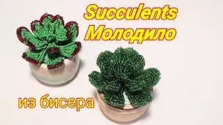 Succulents Молодило из бисера МК от Koshka2015 - цветы из бисера,  бисероплетение Beaded flowers DIY