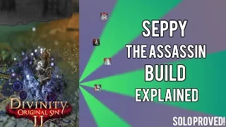 Seppy the assassin {Divinity: Original sin 2, SOLO rogue build}