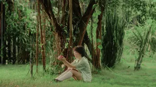 Thịnh Suy - tiny love