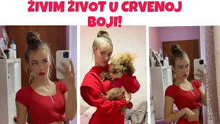 24H ŽIVIM ŽIVOT U CRVENOJ BOJI SA ARIJEL!