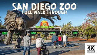 WALKING Tour - San Diego Zoo in San Diego, California [4K UHD]