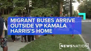 Migrant buses arrive outside VP Kamala Harris’s home | NewsNation