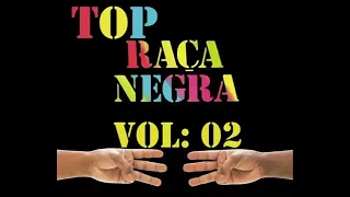 Top Raça Negra Volume 2