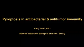 Pyroptosis in antibacterial and antitumor immunity