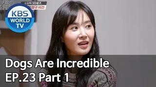 Dogs are incredible | 개는 훌륭하다 EP.23 Part 1 [SUB : ENG/2020.04.29]