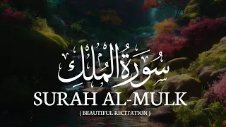 Surah Al mulk | Surah Mulk beautiful recitation | سورة الملك | सुरह मुल्क | Shaikh Aasim